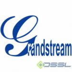ПО TRASSIR и IP-камеры Grandstream