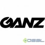 ПО TRASSIR и IP-камеры GANZ